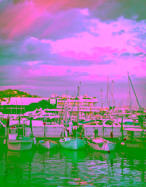 Cannes old port fishing boats with Îles de Lérins in the background — private boat trip from Cannes