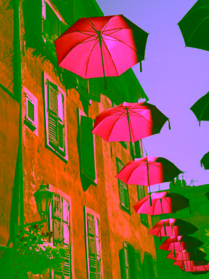 Grasse old town with ochre walls and pink umbrellas above narrow street, Provence atmosphere, Grasse Gourdon Tourrettes day tour French Riviera