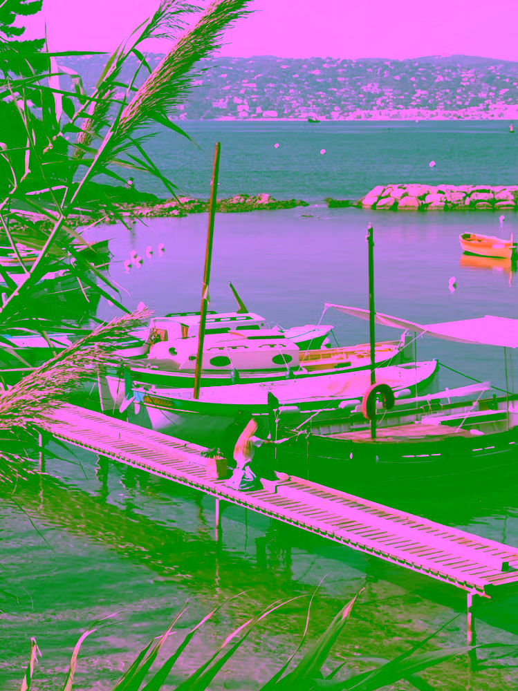 Port de l'Olivette bay, Cap d'Antibes peninsula — shore excursion from Cannes