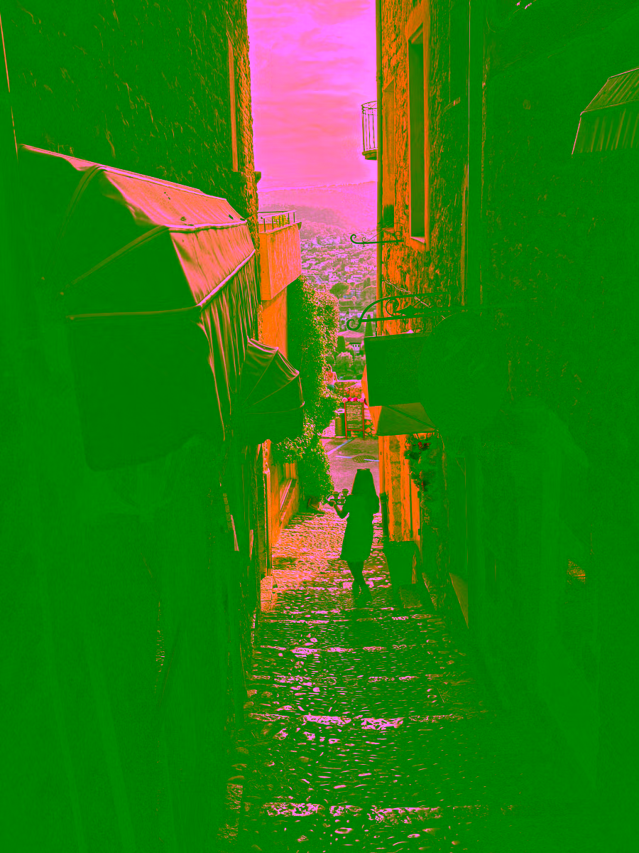 Stone-paved lane inside Saint-Paul-de-Vence, medieval walled village — shore excursion from Cannes