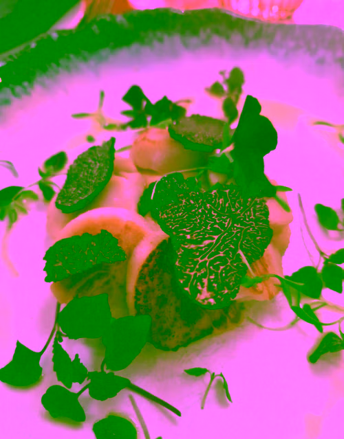 Scallops Saint-Jacques with black truffles — gastronomy and truffle off-season private tour French Riviera